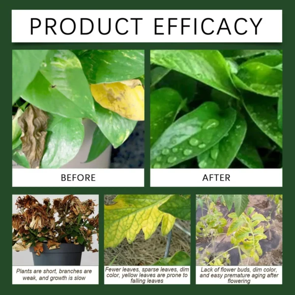 100g Plant Fertilizer Powder Plant Growth Nutrient Fertilizer Safe and Effective Rooting Supplement for Soil Culture Hydroponics