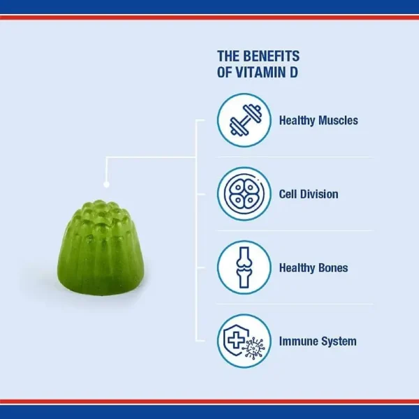 Lamberts Vitamin D3 1000iu Gummies - Suitable for Vegetarians - Immune & Bone Support - Sugar Free - 60 Gummies