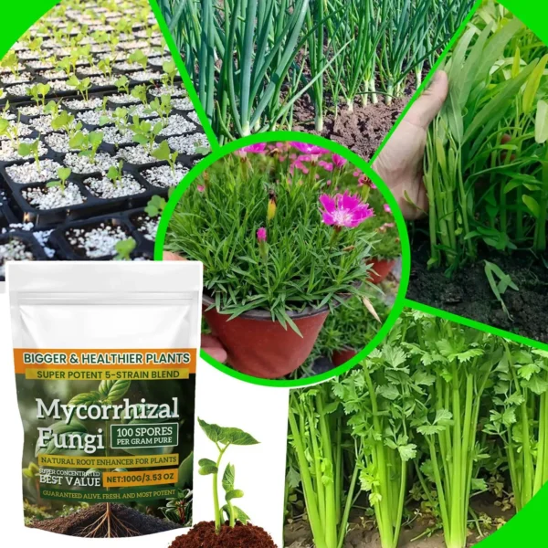 100g Plant Fertilizer Powder Plant Growth Nutrient Fertilizer Safe and Effective Rooting Supplement for Soil Culture Hydroponics
