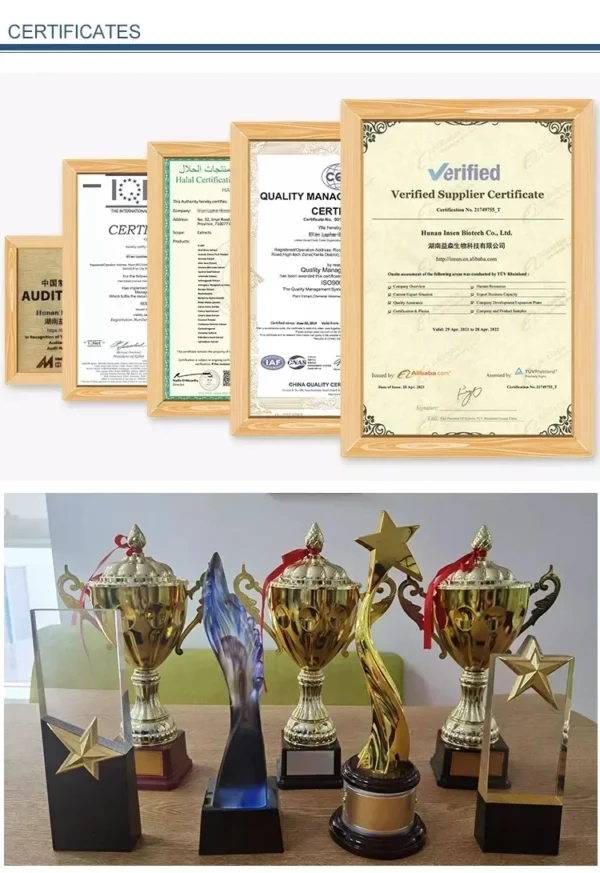 Magnesium L Threonate Transdermal Patches Mg 30 Patches One Month Supply