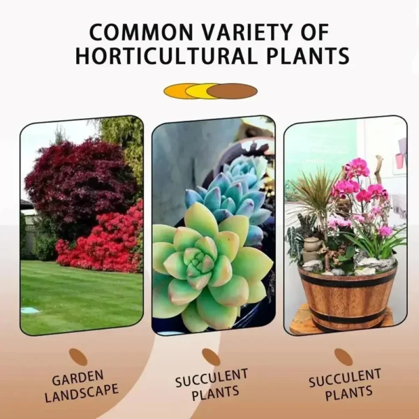 1Pcs Fast Rooting Stimulator Plant Rapid Rooting Agent Root Stimulator for Plants Root Supplement for Houseplant Garden Supplies